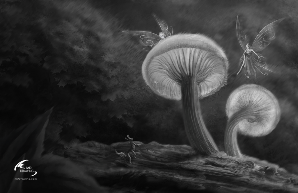 black & white illustration : "meeting fairies"